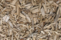 biomass boilers Liurbost